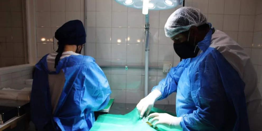  Continúa el plan de castraciones de caninos y felinos, machos y hembras