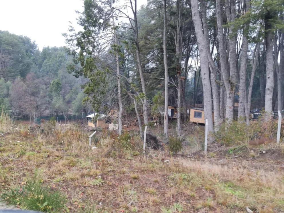 Stefani: “La postura del gobierno frente a la toma, es la inmediata liberación de las tierras”