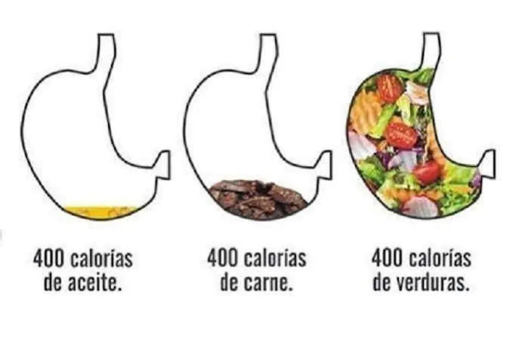 ¿Qué es la densidad calórica?