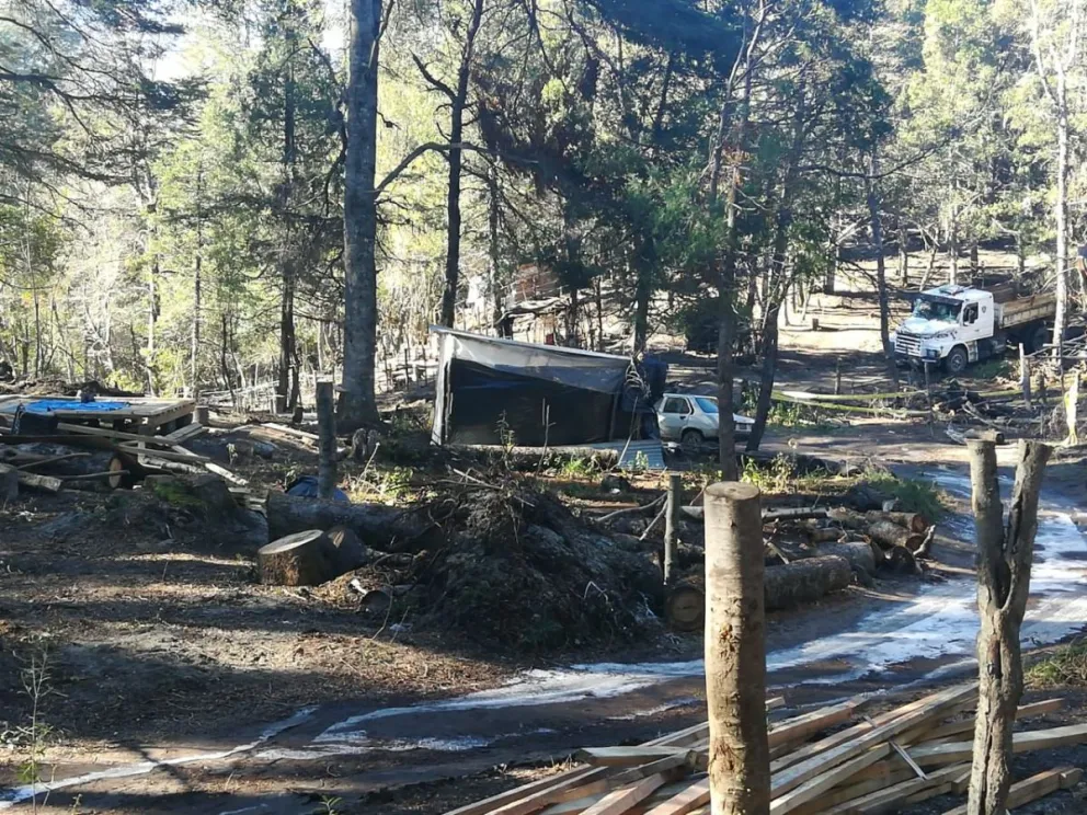 Vecinos del Macro Lote 5 podrían ser reubicados en el lote del ISSN donde se realizó la toma 