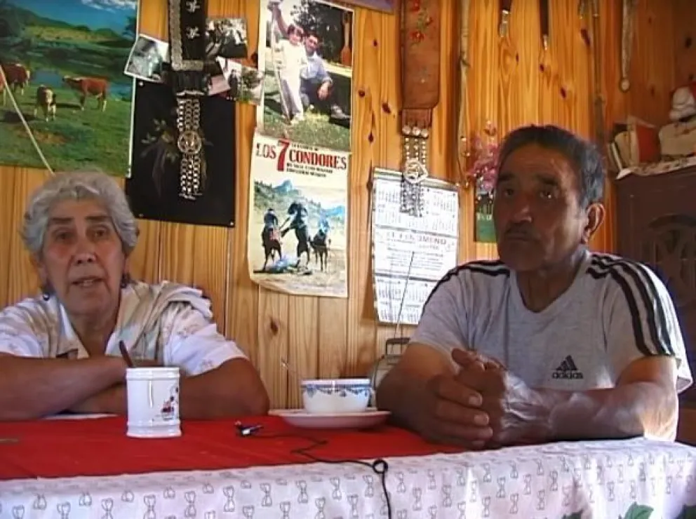 Conociendo las poblaciones del Parque Nacional Nahuel Huapi: Familia Cerda