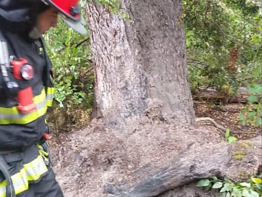 Tras la caída de un rayo, Bomberos sofocaron un principio de incendio