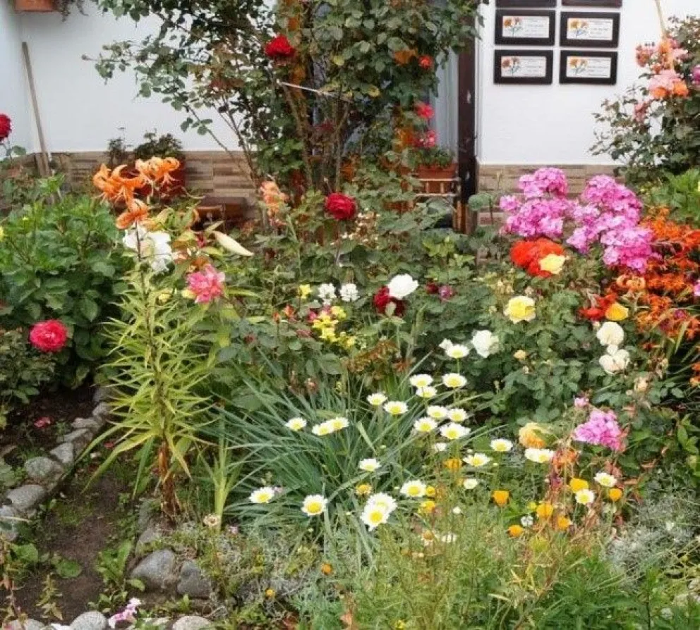 Un pedacito de Parque Nacional en tu jardín