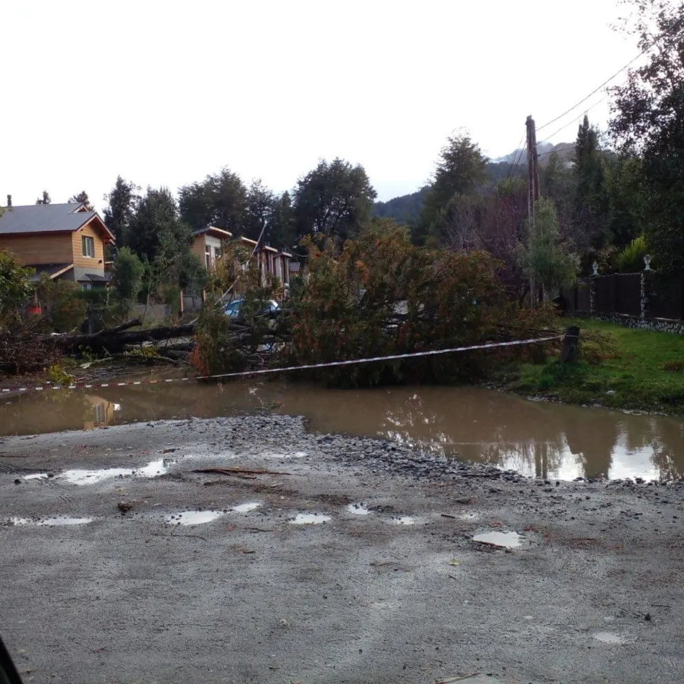 Un fuerte temporal de viento y lluvia azota Angostura