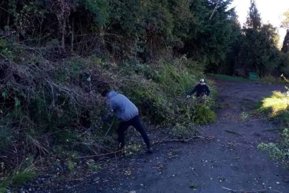 Vecinos de Volcanes, junto al municipio llevan adelante trabajos de raleo